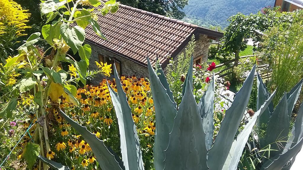 Agriturismo Zertin Граведона Екстериор снимка