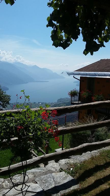 Agriturismo Zertin Граведона Екстериор снимка