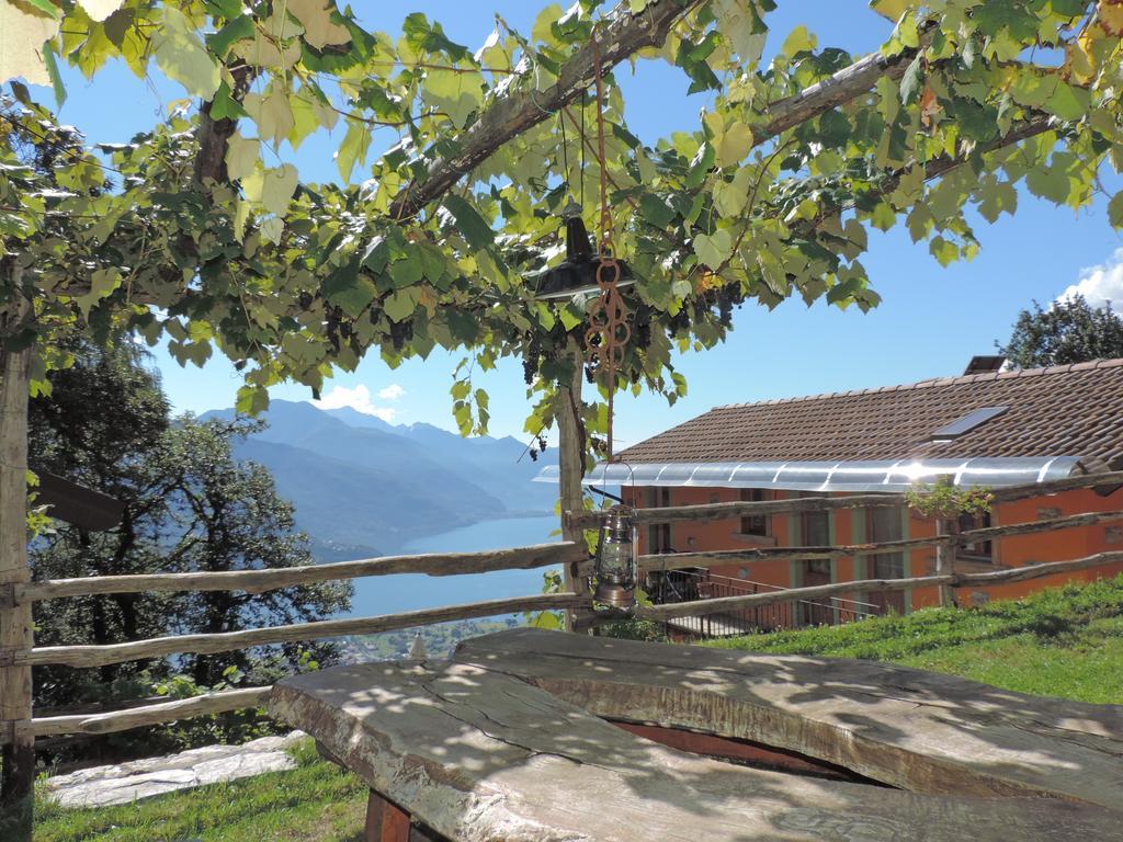 Agriturismo Zertin Граведона Екстериор снимка